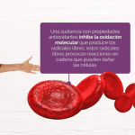 LLV - paquete de multivitaminicos doTERRA original - Image 4