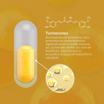 Capsulas duales de Cúrcuma (Turmeric dual softgels) doTERRA original - Image 3
