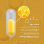 Capsulas duales de Cúrcuma (Turmeric dual softgels) doTERRA original - Image 4